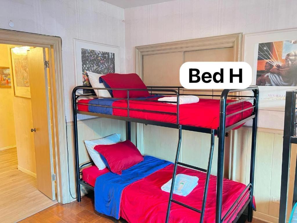 הוסטל שיקגו Pill Hill Mansion מראה חיצוני תמונה