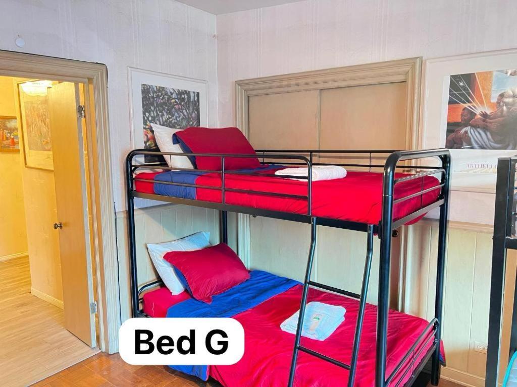 הוסטל שיקגו Pill Hill Mansion מראה חיצוני תמונה